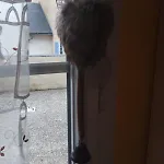 Chalet Pyrenees Gavarnie